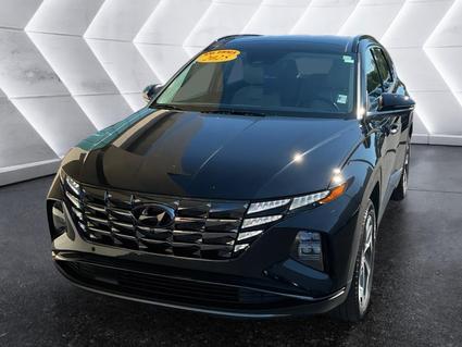 2023 Hyundai Tucson Evansville IN