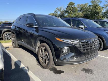 2023 Hyundai Tucson Fletcher NC