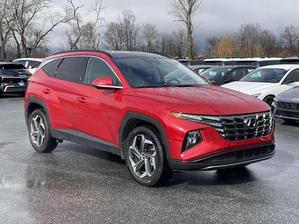 2023 Hyundai Tucson Fletcher NC