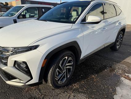 2025 Hyundai Tucson Sidney MT