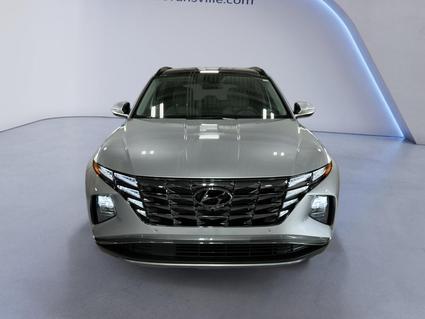 2024 Hyundai Tucson Evansville IN