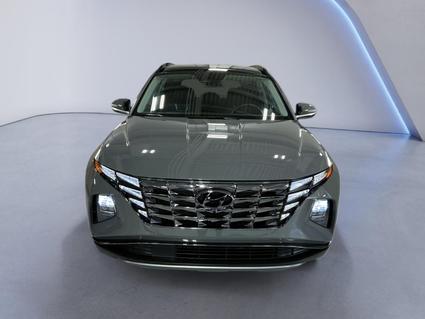 2024 Hyundai Tucson Evansville IN