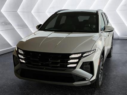 2025 Hyundai Tucson Evansville IN
