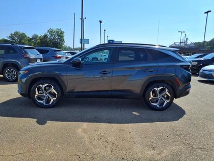 2024 Hyundai Tucson Batesville MS