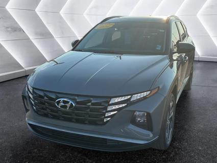 2024 Hyundai Tucson Evansville IN