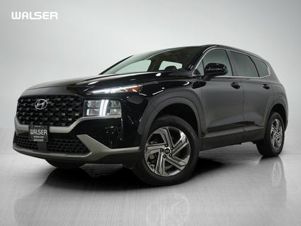 2023 Hyundai Santa Fe Minneapolis MN