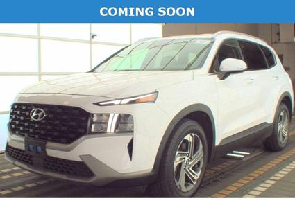 2023 Hyundai Santa Fe Murfreesboro TN