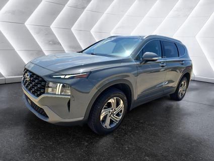 2023 Hyundai Santa Fe New Albany MS