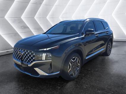 2023 Hyundai Santa Fe New Albany MS