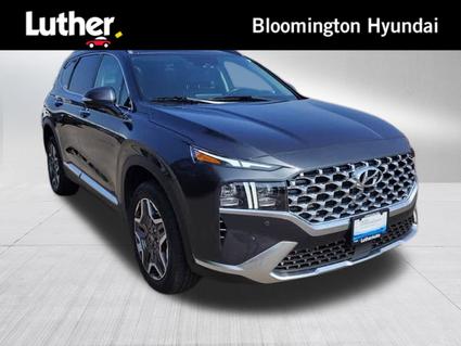 2023 Hyundai Santa Fe Minneapolis MN