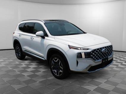 2023 Hyundai Santa Fe Rock Hill SC