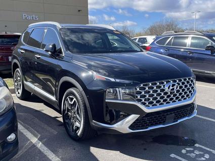 2023 Hyundai Santa Fe Hybrid Fletcher NC