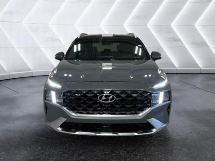 2021 Hyundai Santa Fe Evansville IN