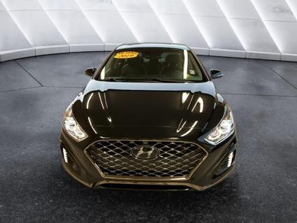 2019 Hyundai Sonata Evansville IN