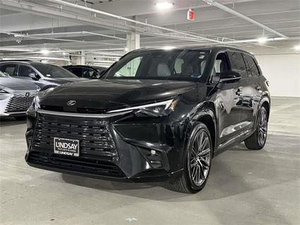 2025 Lexus TX 350 Alexandria VA