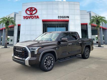 2022 Toyota Tundra Jacksonville FL