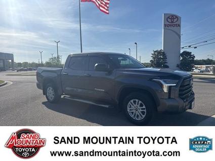2024 Toyota Tundra Albertville AL
