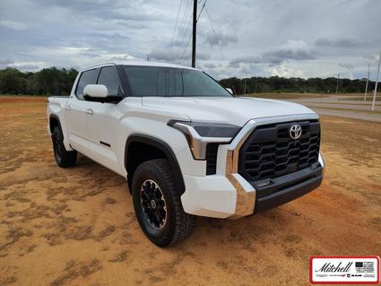 2022 Toyota Tundra Enterprise AL