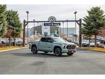 2023 Toyota Tundra Mountain Home ID