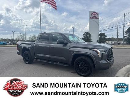2024 Toyota Tundra Albertville AL