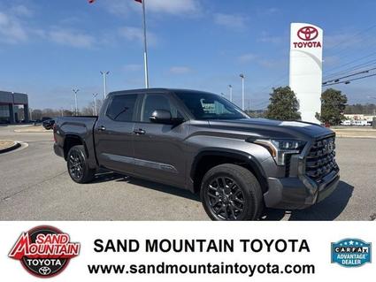 2025 Toyota Tundra Albertville AL