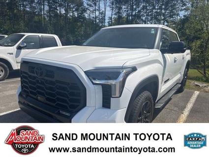 2025 Toyota Tundra Albertville AL