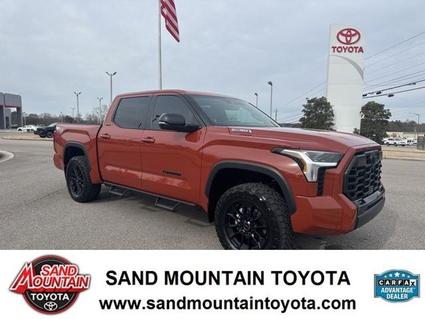 2025 Toyota Tundra Hybrid Albertville AL