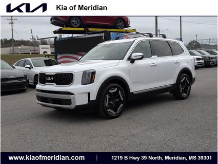 2025 Kia Telluride Meridian MS