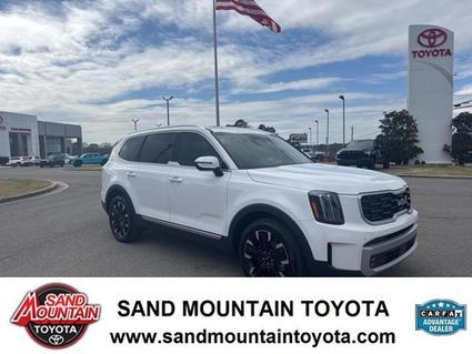 2024 Kia Telluride Albertville AL