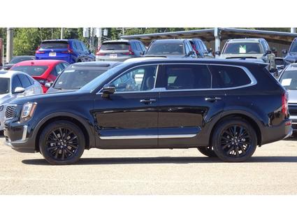 2020 Kia Telluride Tupelo MS