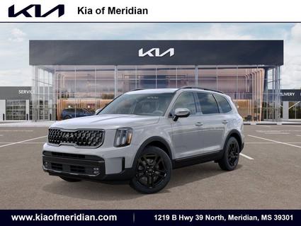2025 Kia Telluride Meridian MS