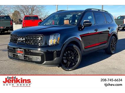2024 Kia Telluride Rigby ID