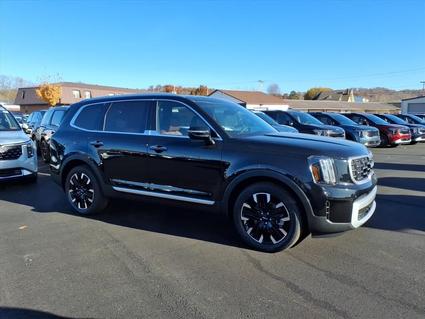 2025 Kia Telluride Barboursville WV