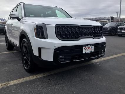 2025 Kia Telluride Pocatello ID