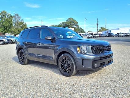 2024 Kia Telluride Wendell NC