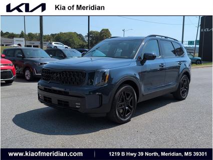 2025 Kia Telluride Meridian MS