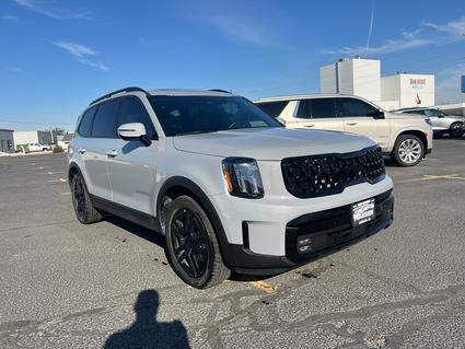 2025 Kia Telluride Burley ID
