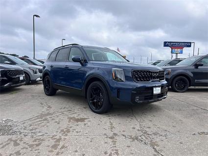 2025 Kia Telluride Cape Girardeau MO