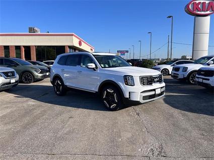 2025 Kia Telluride Cape Girardeau MO