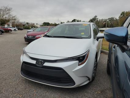 2025 Toyota Corolla Jacksonville FL