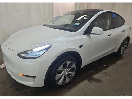 2021 Tesla Model Y Memphis TN