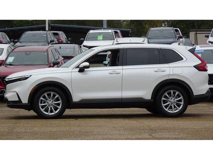 2024 Honda CR-V Tupelo MS