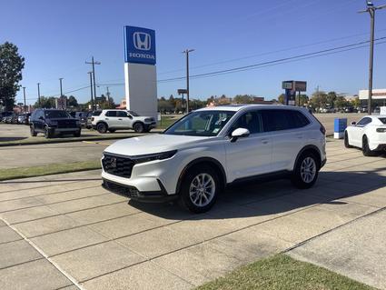 2025 Honda CR-V Baton Rouge LA