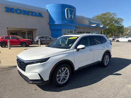 2025 Honda CR-V Tuscaloosa AL