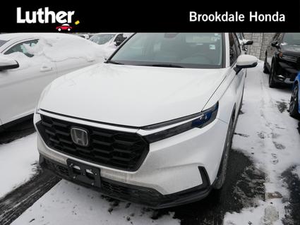 2023 Honda CR-V Minneapolis MN