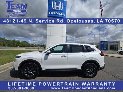 2026 Honda CR-V Opelousas LA