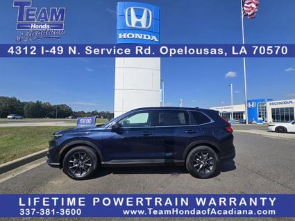 2026 Honda CR-V Opelousas LA