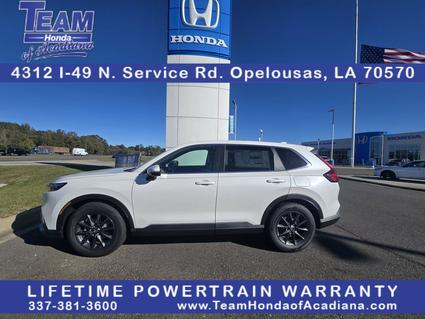 2026 Honda CR-V Opelousas LA