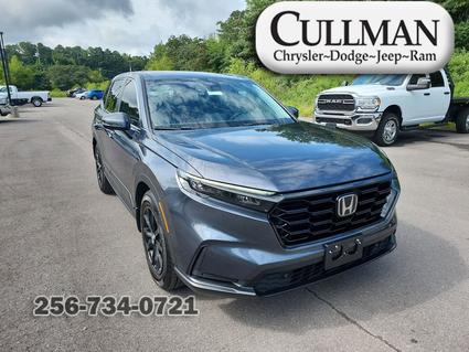 2024 Honda CR-V Cullman AL