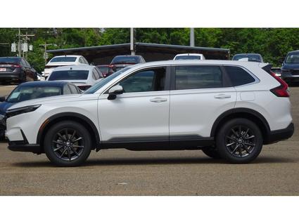 2026 Honda CR-V Tupelo MS